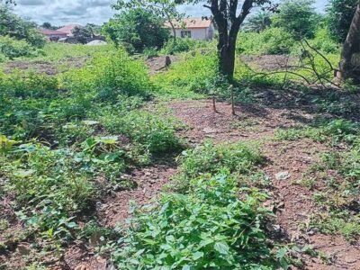 Terrain d’Exception T2 à Vendre – Doumbouyah Alkhadisaidya, Coyah