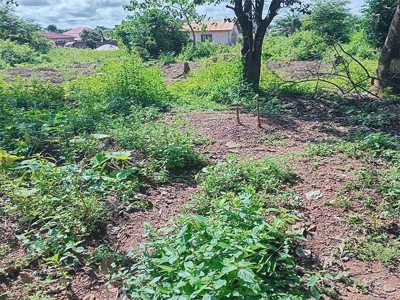 Terrain d’Exception T2 à Vendre – Doumbouyah Alkhadisaidya, Coyah