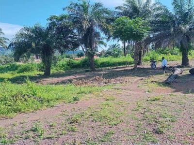 Terrain d’Exception T3 à Vendre – Doumbouyah École, Coyah